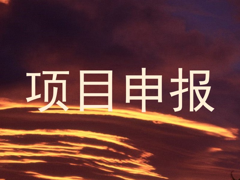 项目申报