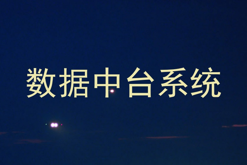 数据中台系统