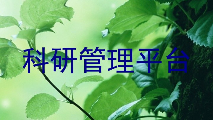 科研管理平台