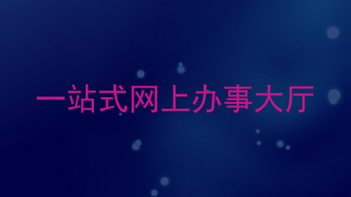 一站式网上办事大厅