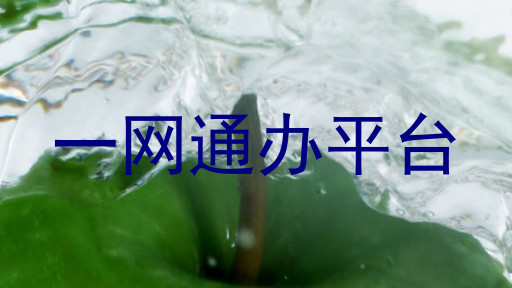 一网通办平台