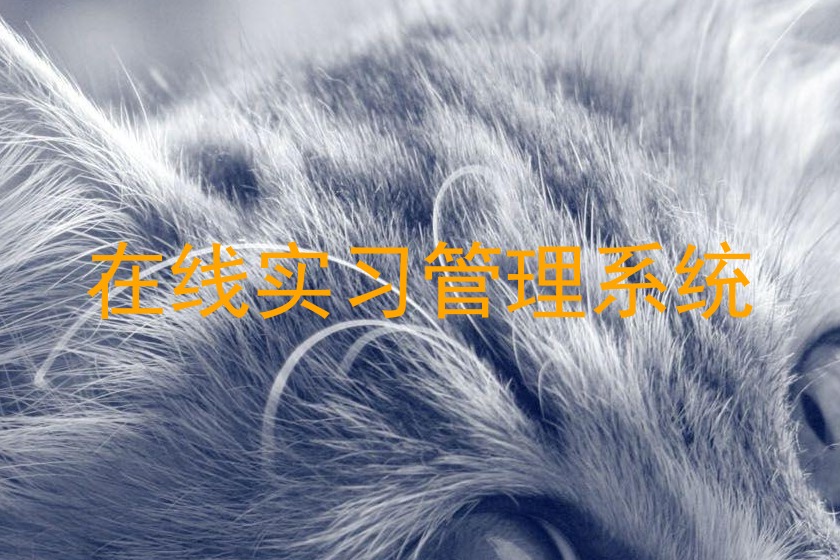 在線實(shí)習(xí)管理系統(tǒng)