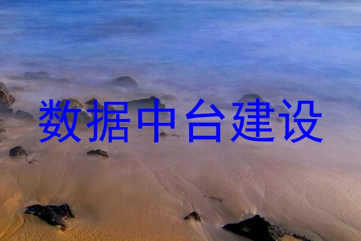 数据中台建设