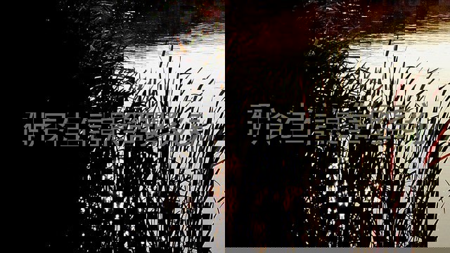 研究生信息管理系统