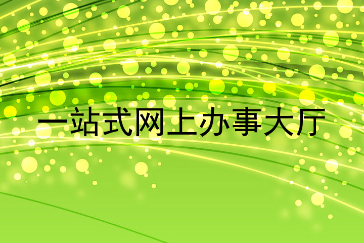 一站式网上办事大厅