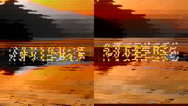 科研项目管理系统