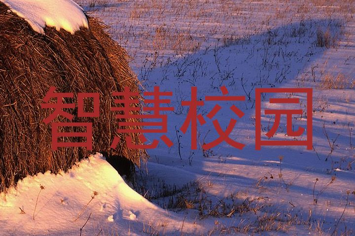 智慧校园