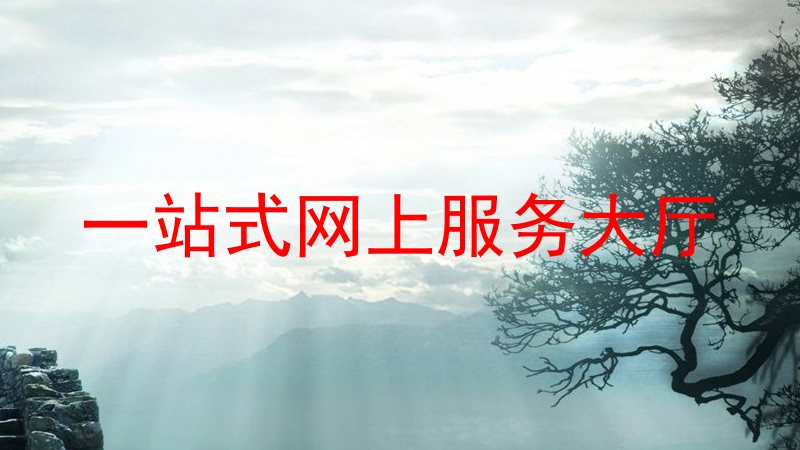 一站式网上服务大厅