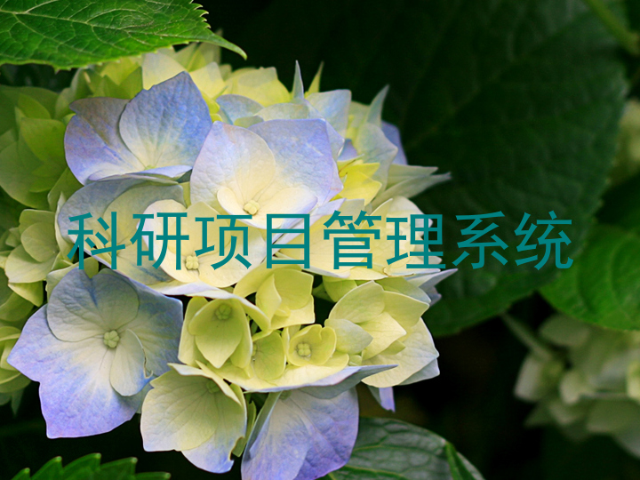 科研项目管理系统