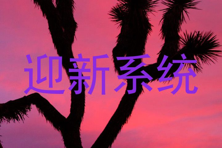 迎新系统