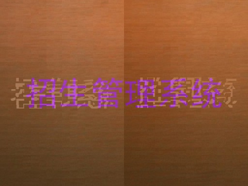 招生管理系統(tǒng)