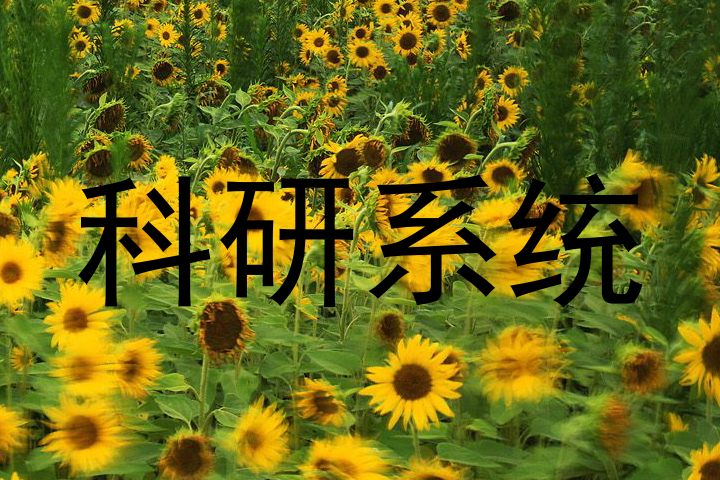 科研系统