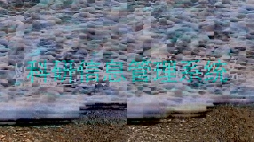 科研信息管理系统