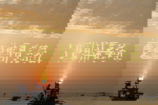 走班排课系统