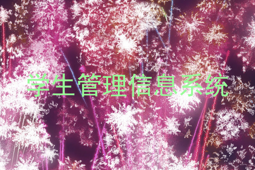 学生管理信息系统