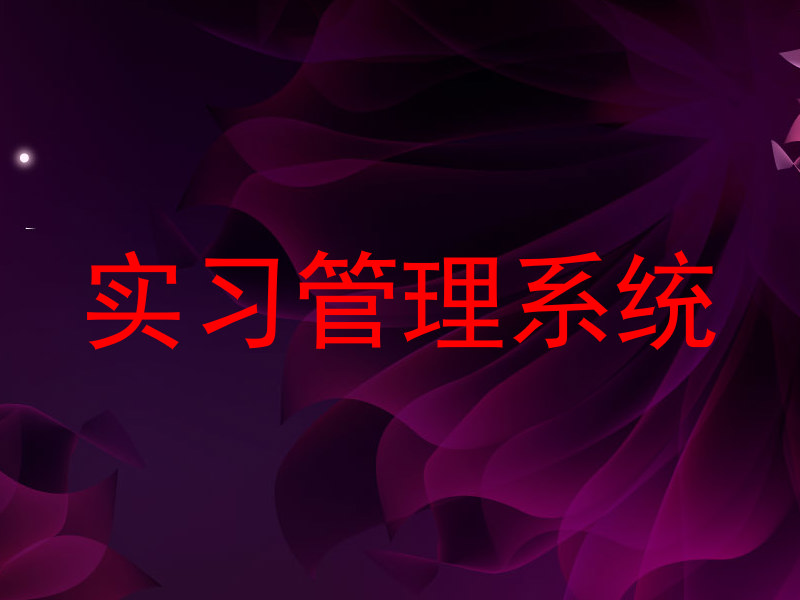 实习管理系统