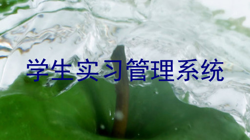 学生实习管理系统