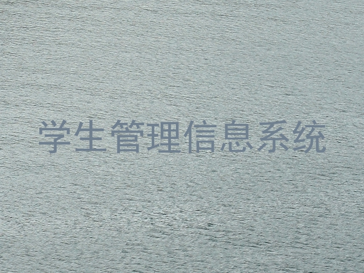 学生管理信息系统