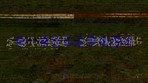 统一身份认证系统源码