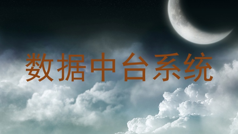 数据中台系统