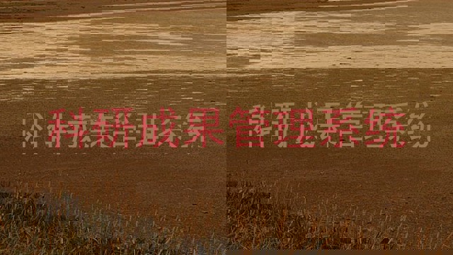 科研成果管理系统