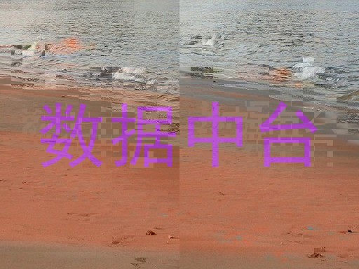 数据中台
