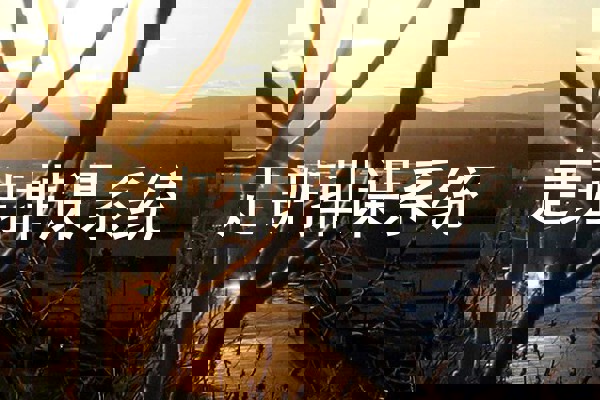 走班排课系统
