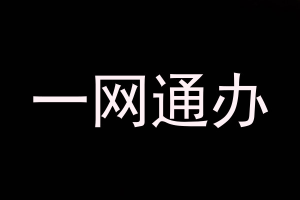 一网通办