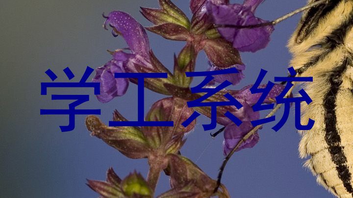 学工系统