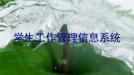 学生工作管理信息系统