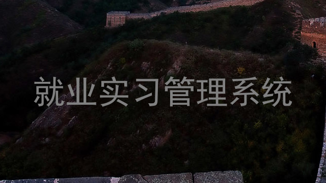 就业实习管理系统