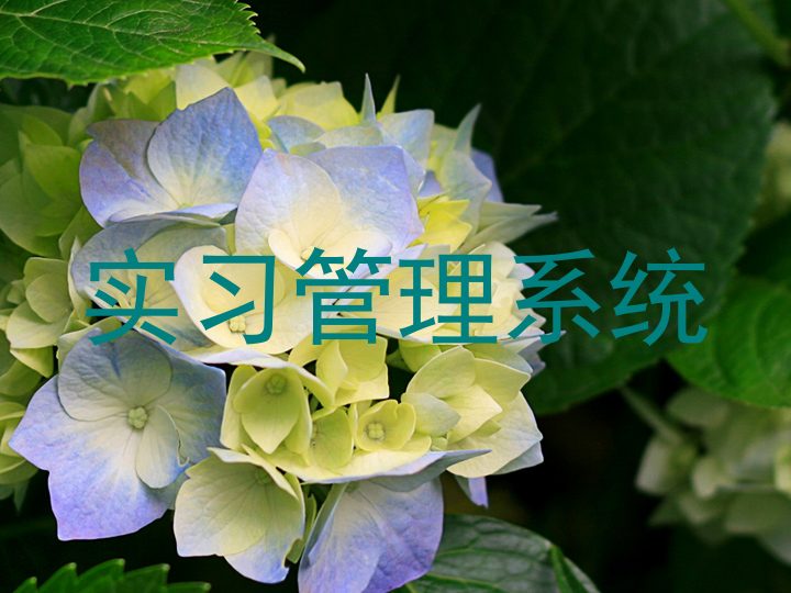 實(shí)習(xí)管理系統(tǒng)