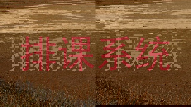 排课系统