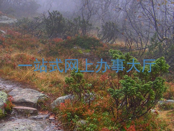 一站式网上办事大厅