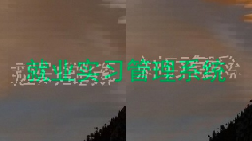就業(yè)實(shí)習(xí)管理系統(tǒng)