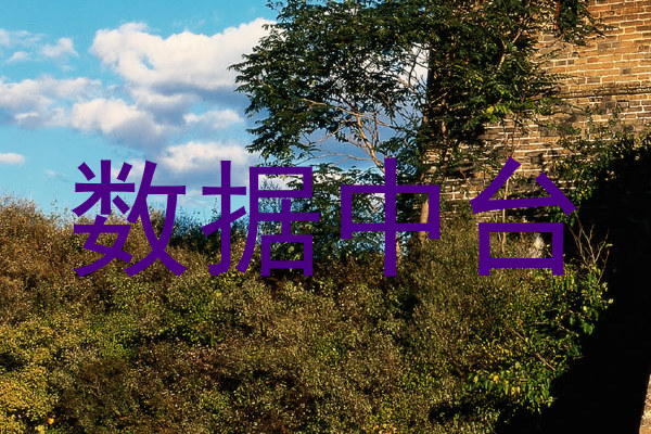 数据中台