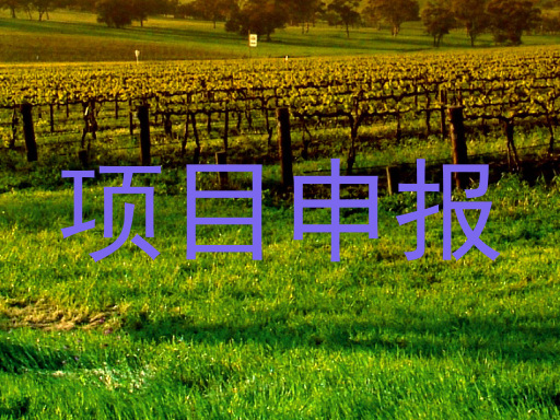 项目申报
