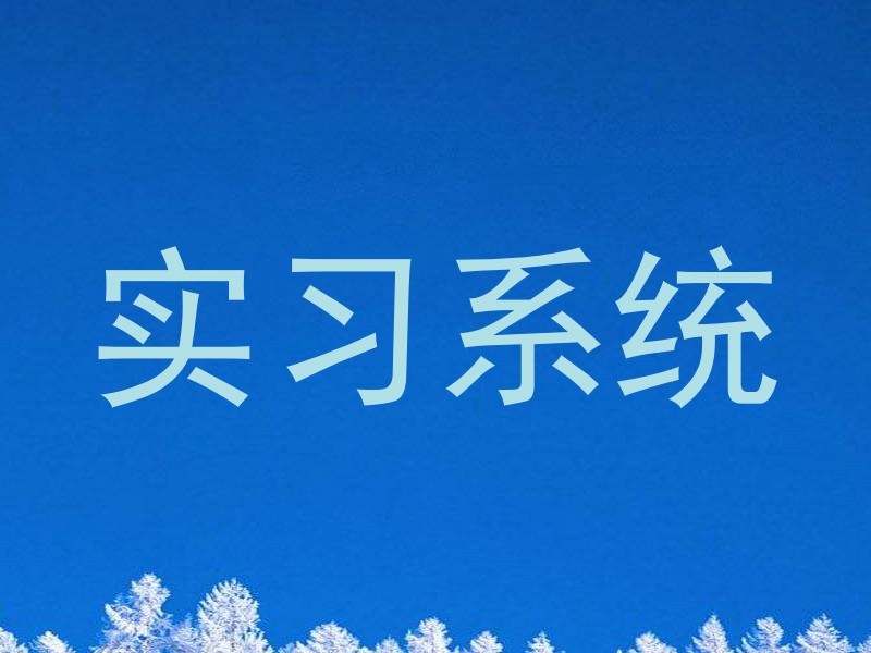 实习系统