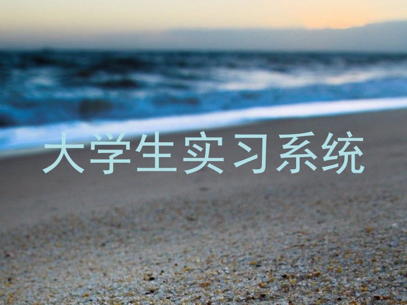 大学生实习系统