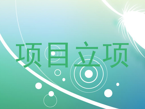 项目立项
