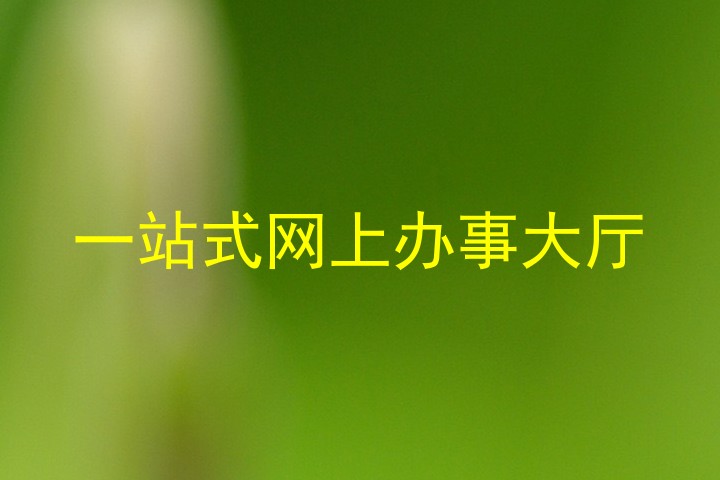 一站式网上办事大厅