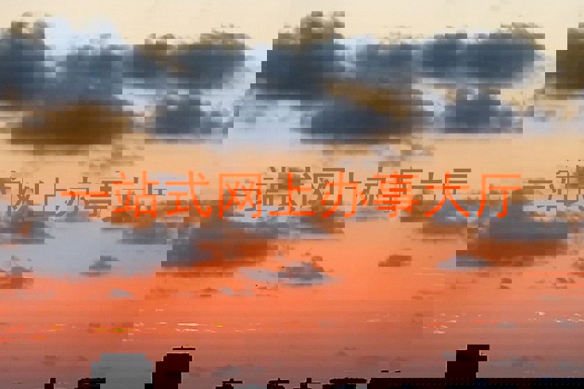 一站式网上办事大厅