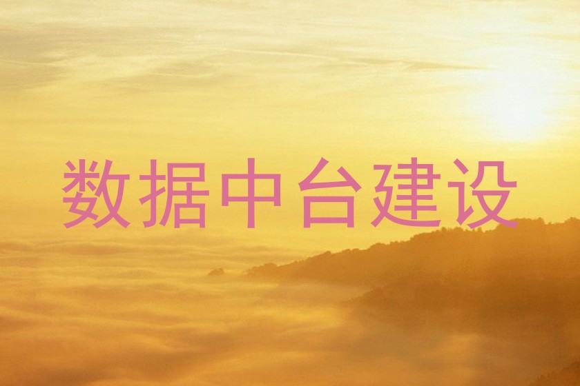 数据中台建设