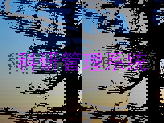 科研管理系统
