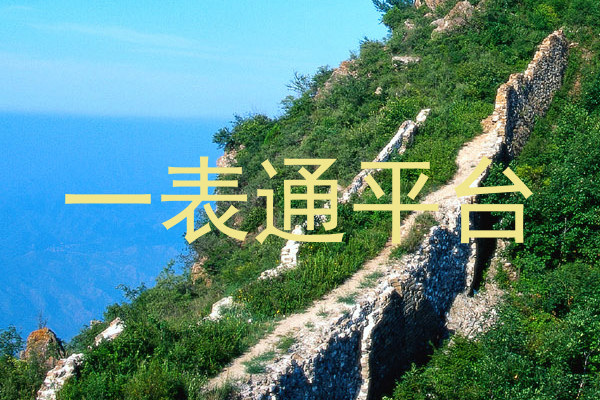 一表通平台