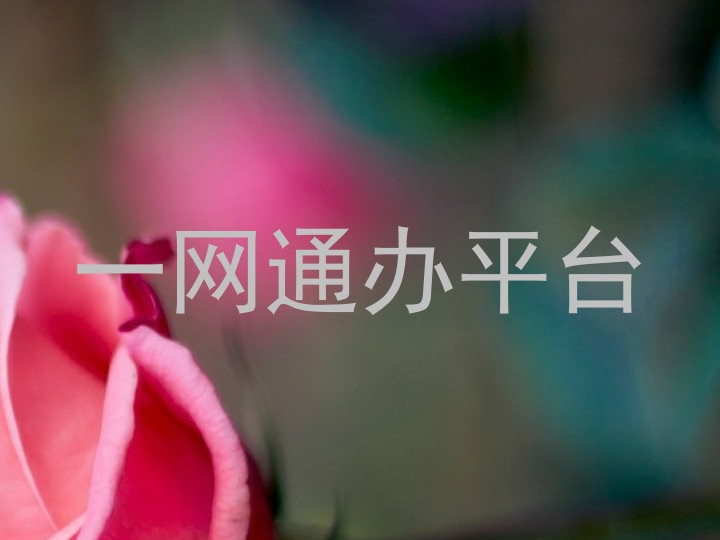 一网通办平台