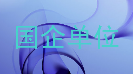 国企单位