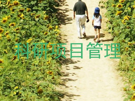 科研项目管理