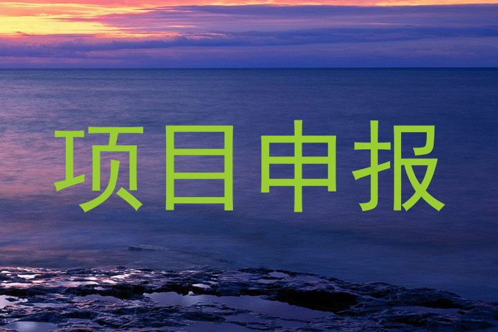 项目申报