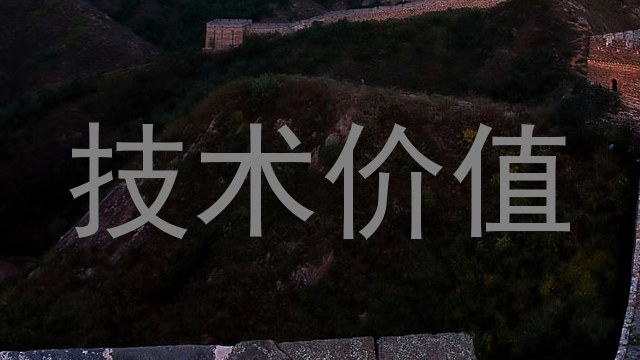 技术价值